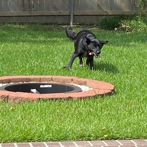 Meet your Posher, Chloe